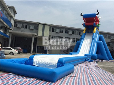 Dragon Head Large Inflatable Water Slides For Sale China Factory BY-GS-027